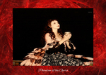 Phantom of the Opera portfolio