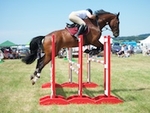 LINK_TO ArthingtonShow Sun1stJuly'18 SnrBS_ShowJumping portfolio