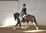 LINK TO - Barton EC, Indoor Dressage, Sat 3rd July, '10 portfolio