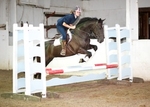 LINK_TO - BartonEC_Wed14thAug'13 Unaff.ShowJumping portfolio