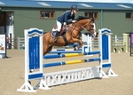 LINK_TO - NorthcoteEC Sunday18thAugust'13 JuniorBSJA Upto&inc.Class3_1mOpen portfolio
