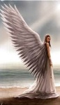 Angels & Fairies