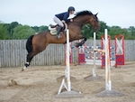LINK_TO HarrogateRC Sat18thAug'18 Snr.BSJumping portfolio