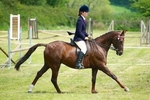 LINK TO - BartonEC Sun26thMay'13 Garstang&Dist Horse&PonyClub portfolio