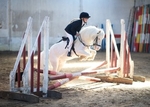 LINK TO - BartonEC Sat25thMay'13 Unaff.SummerRC ShowJumping portfolio