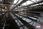 56. Mitchell Grieves Needle Factory portfolio