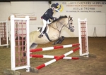 LINK TO - Barton EC, Wed_10th_Aug'11 Show_Jumping portfolio