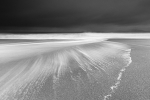 Black & White portfolio