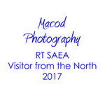 Visitor From the North 2017 portfolio