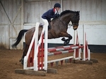 LINK_TO Barton 20thJan'18 Unaff.Jumping portfolio