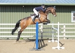 LINK_TO Northcote 9thMay'15 SeniorBS_Jumping portfolio
