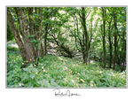 Images (Landscape format) portfolio