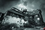 178. Tolly Cobbold Brewery portfolio