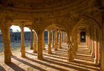 Madhya Pradesh portfolio
