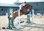 LINK To - NorthcoteStud Thurs18thJuly'13 SeniorBSJA ShowJumping Class4_To_ClearRound portfolio