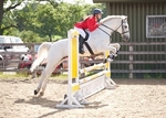 LINK_TO - Northcote Sun13thJuly'14 SummerShowJumping portfolio