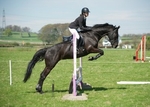 LINK TO - LancasterPonyClub Monday6thMay'13 OpenMayDayShow portfolio