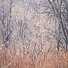 SEASONS portfolio