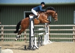 LINK_TO - NorthcoteStud Thurs5thSept'13 SeniorBSJAClasses2&3only portfolio