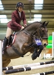Equestrian Events 2019