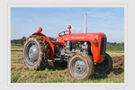 Massey Ferguson