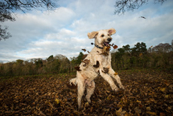 Ruby and Louis portfolio