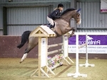 LINK_TO Northcote SeniorBS Sun10thJan'16 portfolio