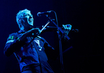 The Levellers portfolio