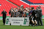 FA Carlsberg Vase Final 2013 portfolio