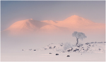 Landscapes portfolio