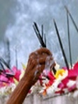 Incense Sticks & Cones portfolio