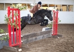 LINK TO - BartonEC Sat27thOct'12 BSPS_&_PUK WorkingHunter portfolio