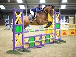 LINK_TO Northcote Unaff.ShowJumping Sun21stFeb'16 portfolio