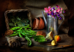 STILL LIFE portfolio