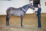 LINK TO - BartonEC Sat30thMarch'13 WinterRC EveningChampionships portfolio