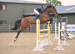 LINK_TO - NorthcoteSeniorBS Sun20thJuly'14 portfolio