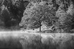 Mainly Black & White portfolio