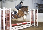 LINKS TO - Equestrian Events November '11 portfolio