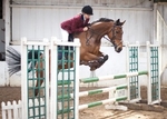 LINK TO - BartonEC Sat 5th May '12, Senior Trailblazers Show Jumping. portfolio