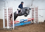 LINK_TO - BartonEC 6thSept'15 Unaff.ShowJumping portfolio