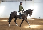 LINK TO - BartonEC Sat27thApril'13 T'BlazersJunior Dressage portfolio