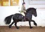 LINK TO - BartonEC Sun18thNov'12 WinterRC_PM_RiddenClasses portfolio