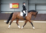 LINK_TO - Northcote Sun20thApril'14 Dressage portfolio