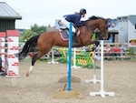 LINK_TO - Northcote Sun14thAug'16 Unaff.Jumping portfolio