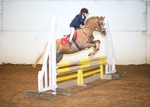 LINK_TO - BartonEC Wed1stOct'14 Unaff.Jumping portfolio