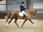 LINK_TO - Northcote NDG Dressage, Sat22ndNov'14 portfolio