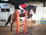 LINK_TO - BartonEC Sun30thNovember'14 Unaff.ShowJumping portfolio