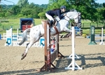 LINK TO - NorthcoteStud Sunday7thJuly'13 SummerPtsShowJumping portfolio