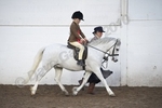 LINK TO - Barton EC, BSPS & PUK Showing, just a few. Sunday 28th November 2010 portfolio
