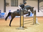 LINK_TO Northcote 23rdNov'19 Unaff.Jumping portfolio